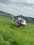 Veranstaltungen &raquo; Waldbrandworkshop 03.05.2025